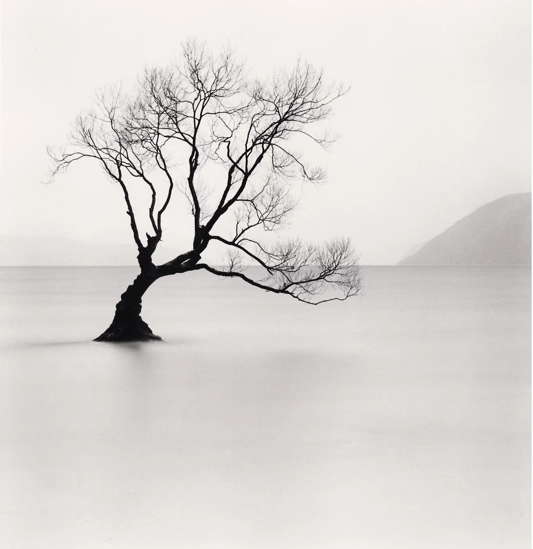 Michael Kenna black-and-white photograph of a small bare tree standing in flat, mirror-still pale water with a faint shoreline behind it.