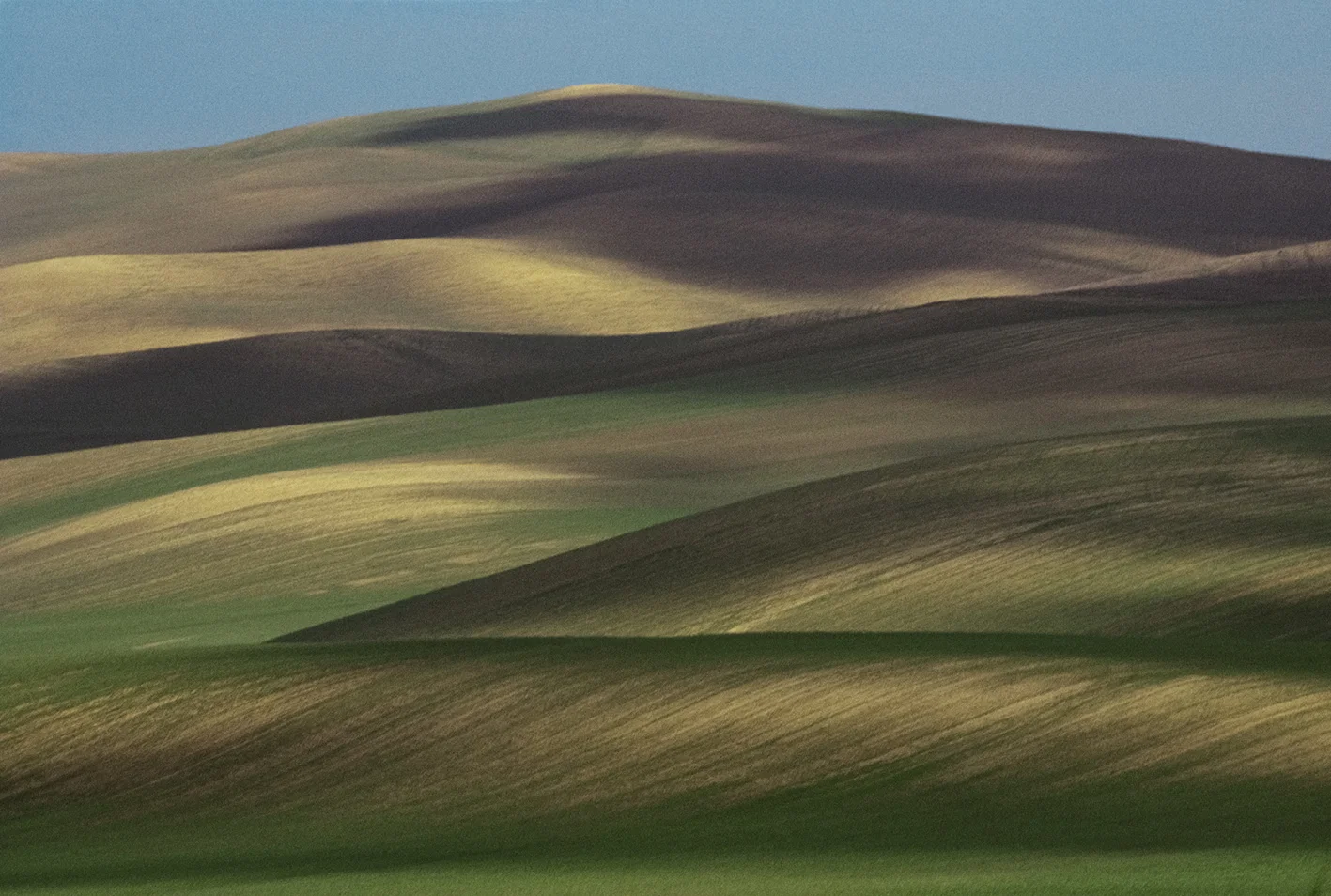 Soft rolling cultivated hills lit by low side light, with bands of green, gold, and shadow forming layered curves under a pale blue sky.
