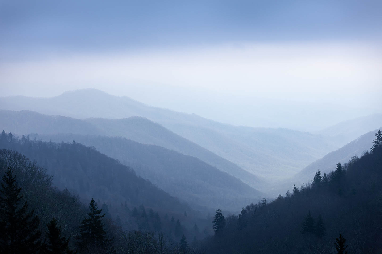 Layered Appalachian mountain ridges receding into pale blue fog, with dark silhouetted trees in the foreground.